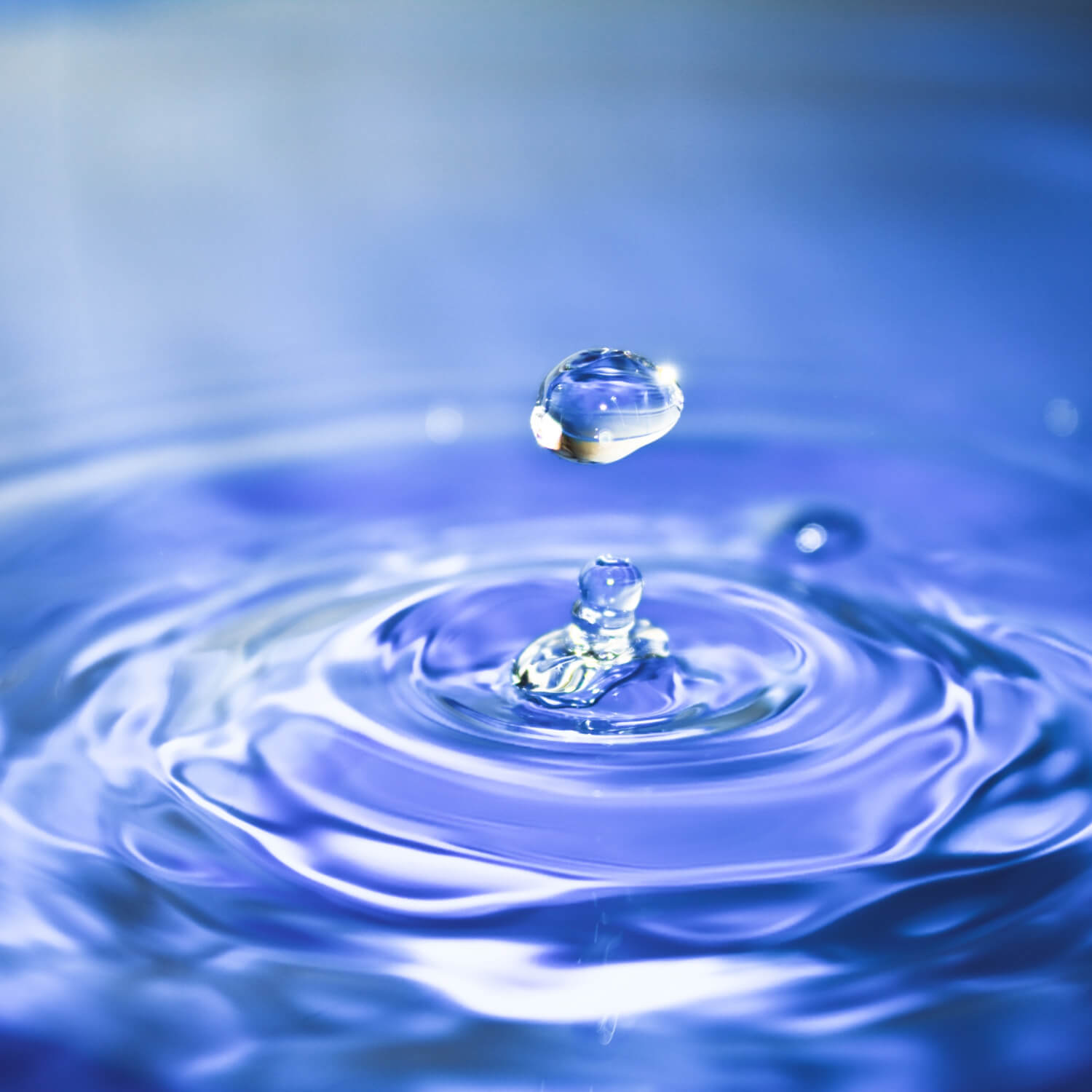Water & Water Resources Models